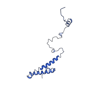 0596_6om0_i_v1-1
Human ribosome nascent chain complex (PCSK9-RNC) stalled by a drug-like molecule with AP and PE tRNAs