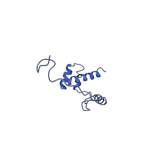 0596_6om0_j_v1-1
Human ribosome nascent chain complex (PCSK9-RNC) stalled by a drug-like molecule with AP and PE tRNAs