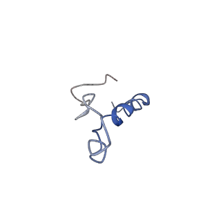 0596_6om0_m_v1-1
Human ribosome nascent chain complex (PCSK9-RNC) stalled by a drug-like molecule with AP and PE tRNAs