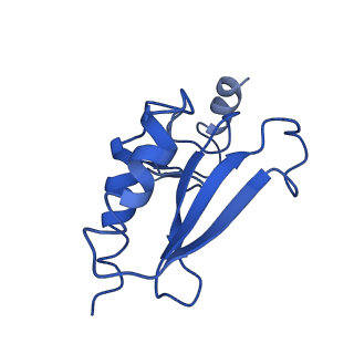 0596_6om0_r_v1-1
Human ribosome nascent chain complex (PCSK9-RNC) stalled by a drug-like molecule with AP and PE tRNAs