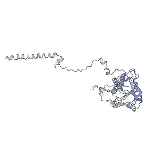 0597_6om7_C_v1-1
Human ribosome nascent chain complex (PCSK9-RNC) stalled by a drug-like small molecule with AA and PE tRNAs