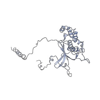 0597_6om7_F_v1-1
Human ribosome nascent chain complex (PCSK9-RNC) stalled by a drug-like small molecule with AA and PE tRNAs
