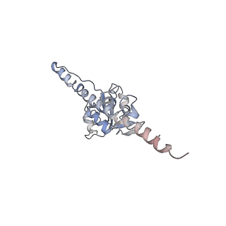 0597_6om7_H_v1-1
Human ribosome nascent chain complex (PCSK9-RNC) stalled by a drug-like small molecule with AA and PE tRNAs