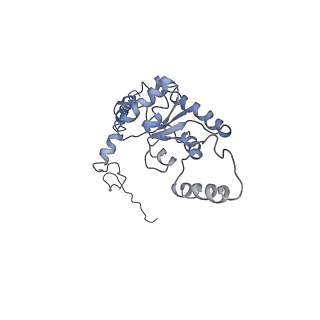 0597_6om7_I_v1-1
Human ribosome nascent chain complex (PCSK9-RNC) stalled by a drug-like small molecule with AA and PE tRNAs