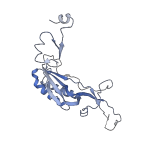 0597_6om7_K_v1-1
Human ribosome nascent chain complex (PCSK9-RNC) stalled by a drug-like small molecule with AA and PE tRNAs