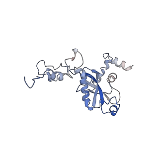 0597_6om7_O_v1-1
Human ribosome nascent chain complex (PCSK9-RNC) stalled by a drug-like small molecule with AA and PE tRNAs