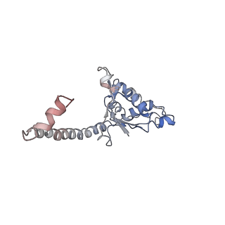 0597_6om7_P_v1-1
Human ribosome nascent chain complex (PCSK9-RNC) stalled by a drug-like small molecule with AA and PE tRNAs