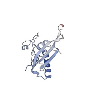 0597_6om7_Q_v1-1
Human ribosome nascent chain complex (PCSK9-RNC) stalled by a drug-like small molecule with AA and PE tRNAs