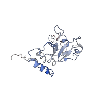 0597_6om7_R_v1-1
Human ribosome nascent chain complex (PCSK9-RNC) stalled by a drug-like small molecule with AA and PE tRNAs