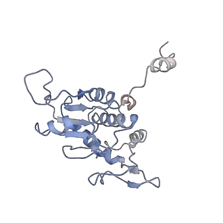 0597_6om7_SA_v1-1
Human ribosome nascent chain complex (PCSK9-RNC) stalled by a drug-like small molecule with AA and PE tRNAs