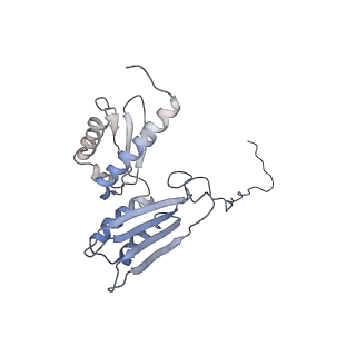 0597_6om7_SD_v1-1
Human ribosome nascent chain complex (PCSK9-RNC) stalled by a drug-like small molecule with AA and PE tRNAs