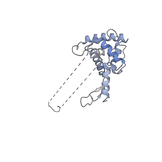 0597_6om7_SF_v1-1
Human ribosome nascent chain complex (PCSK9-RNC) stalled by a drug-like small molecule with AA and PE tRNAs