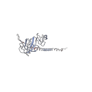 0597_6om7_SG_v1-1
Human ribosome nascent chain complex (PCSK9-RNC) stalled by a drug-like small molecule with AA and PE tRNAs