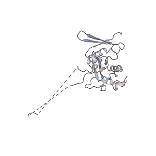 0597_6om7_SH_v1-1
Human ribosome nascent chain complex (PCSK9-RNC) stalled by a drug-like small molecule with AA and PE tRNAs