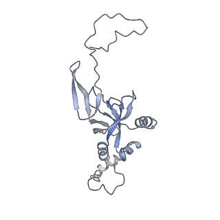 0597_6om7_SI_v1-1
Human ribosome nascent chain complex (PCSK9-RNC) stalled by a drug-like small molecule with AA and PE tRNAs