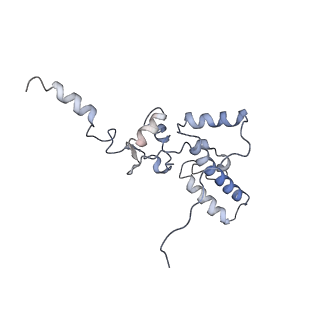 0597_6om7_SJ_v1-1
Human ribosome nascent chain complex (PCSK9-RNC) stalled by a drug-like small molecule with AA and PE tRNAs