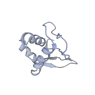 0597_6om7_SK_v1-1
Human ribosome nascent chain complex (PCSK9-RNC) stalled by a drug-like small molecule with AA and PE tRNAs