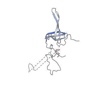 0597_6om7_SL_v1-1
Human ribosome nascent chain complex (PCSK9-RNC) stalled by a drug-like small molecule with AA and PE tRNAs