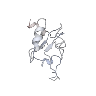 0597_6om7_SM_v1-1
Human ribosome nascent chain complex (PCSK9-RNC) stalled by a drug-like small molecule with AA and PE tRNAs