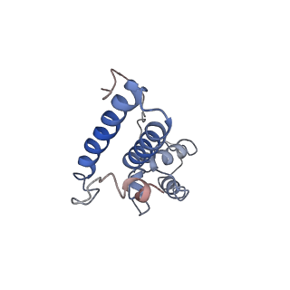 0597_6om7_SN_v1-1
Human ribosome nascent chain complex (PCSK9-RNC) stalled by a drug-like small molecule with AA and PE tRNAs