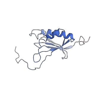 0597_6om7_SO_v1-1
Human ribosome nascent chain complex (PCSK9-RNC) stalled by a drug-like small molecule with AA and PE tRNAs