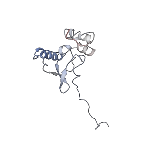 0597_6om7_SP_v1-1
Human ribosome nascent chain complex (PCSK9-RNC) stalled by a drug-like small molecule with AA and PE tRNAs