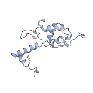 0597_6om7_SS_v1-1
Human ribosome nascent chain complex (PCSK9-RNC) stalled by a drug-like small molecule with AA and PE tRNAs