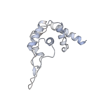 0597_6om7_ST_v1-1
Human ribosome nascent chain complex (PCSK9-RNC) stalled by a drug-like small molecule with AA and PE tRNAs