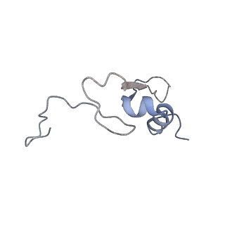 0597_6om7_SV_v1-1
Human ribosome nascent chain complex (PCSK9-RNC) stalled by a drug-like small molecule with AA and PE tRNAs
