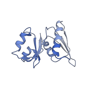 0597_6om7_SW_v1-1
Human ribosome nascent chain complex (PCSK9-RNC) stalled by a drug-like small molecule with AA and PE tRNAs