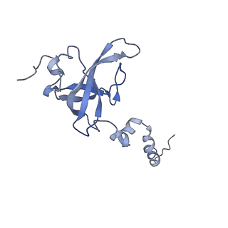 0597_6om7_SX_v1-1
Human ribosome nascent chain complex (PCSK9-RNC) stalled by a drug-like small molecule with AA and PE tRNAs