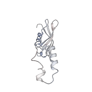 0597_6om7_SY_v1-1
Human ribosome nascent chain complex (PCSK9-RNC) stalled by a drug-like small molecule with AA and PE tRNAs