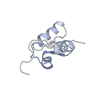 0597_6om7_SZ_v1-1
Human ribosome nascent chain complex (PCSK9-RNC) stalled by a drug-like small molecule with AA and PE tRNAs