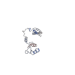 0597_6om7_S_v1-1
Human ribosome nascent chain complex (PCSK9-RNC) stalled by a drug-like small molecule with AA and PE tRNAs