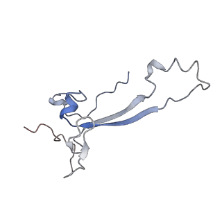 0597_6om7_Sa_v1-1
Human ribosome nascent chain complex (PCSK9-RNC) stalled by a drug-like small molecule with AA and PE tRNAs