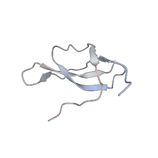 0597_6om7_Sc_v1-1
Human ribosome nascent chain complex (PCSK9-RNC) stalled by a drug-like small molecule with AA and PE tRNAs