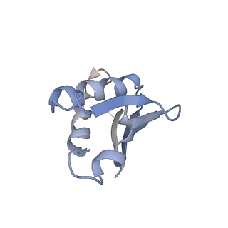 0597_6om7_V_v1-1
Human ribosome nascent chain complex (PCSK9-RNC) stalled by a drug-like small molecule with AA and PE tRNAs