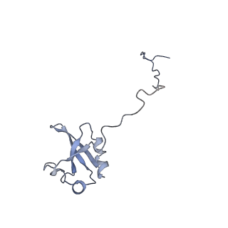0597_6om7_Y_v1-1
Human ribosome nascent chain complex (PCSK9-RNC) stalled by a drug-like small molecule with AA and PE tRNAs