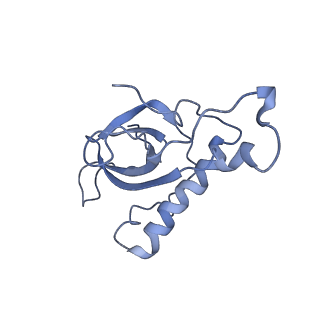 0597_6om7_a_v1-1
Human ribosome nascent chain complex (PCSK9-RNC) stalled by a drug-like small molecule with AA and PE tRNAs
