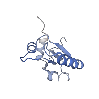 0597_6om7_d_v1-1
Human ribosome nascent chain complex (PCSK9-RNC) stalled by a drug-like small molecule with AA and PE tRNAs