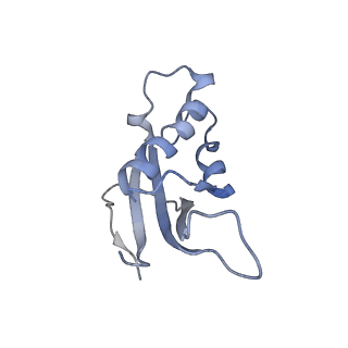 0597_6om7_e_v1-1
Human ribosome nascent chain complex (PCSK9-RNC) stalled by a drug-like small molecule with AA and PE tRNAs
