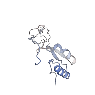 0597_6om7_f_v1-1
Human ribosome nascent chain complex (PCSK9-RNC) stalled by a drug-like small molecule with AA and PE tRNAs