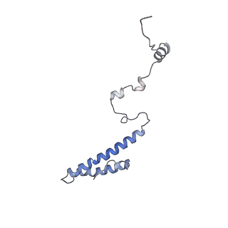 0597_6om7_i_v1-1
Human ribosome nascent chain complex (PCSK9-RNC) stalled by a drug-like small molecule with AA and PE tRNAs