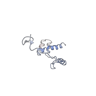 0597_6om7_j_v1-1
Human ribosome nascent chain complex (PCSK9-RNC) stalled by a drug-like small molecule with AA and PE tRNAs