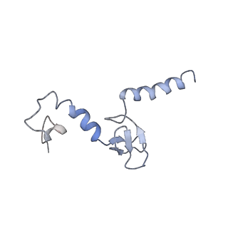 0597_6om7_q_v1-1
Human ribosome nascent chain complex (PCSK9-RNC) stalled by a drug-like small molecule with AA and PE tRNAs