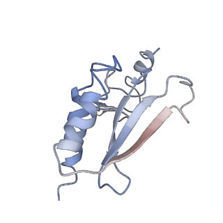0597_6om7_r_v1-1
Human ribosome nascent chain complex (PCSK9-RNC) stalled by a drug-like small molecule with AA and PE tRNAs