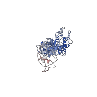 12982_7om0_A_v1-2
Structure of Primase-Helicase in SaPI5