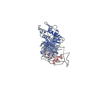 12982_7om0_B_v1-2
Structure of Primase-Helicase in SaPI5