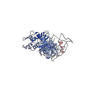12982_7om0_C_v1-2
Structure of Primase-Helicase in SaPI5