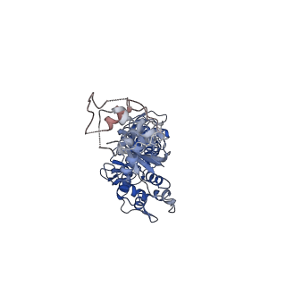 12982_7om0_E_v1-2
Structure of Primase-Helicase in SaPI5